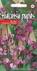 Hiacinšu pupas цена и информация | Семена цветов | 220.lv