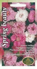 Гвоздика Sweet William цена и информация | Семена цветов | 220.lv