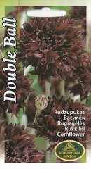 Rudzupuķes цена и информация | Семена цветов | 220.lv