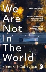 We Are Not in the World: 'compelling and profoundly moving' Irish Times cena un informācija | Fantāzija, fantastikas grāmatas | 220.lv