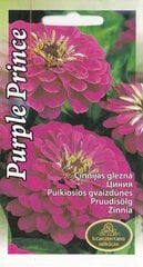 Cinijas цена и информация | Семена цветов | 220.lv