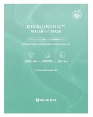 Mitrinoša sejas maska ​​ar hialuronskābi Cicaluronic (Water Fit Mask) 24 g cena un informācija | Mizon Smaržas, kosmētika | 220.lv