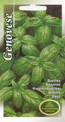 Базилик Genovese, 6 г цена и информация | Семена приправ | 220.lv