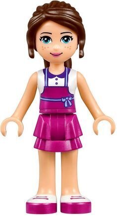 41119 LEGO® FRIENDS Hartleikas maiznīca цена и информация | Konstruktori | 220.lv