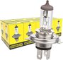 10x Brehma H4 halogēna lampa 12 Volt 60/55 Watt P43T cena un informācija | Auto spuldzes | 220.lv