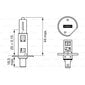 Bosch H1 tīra viegla lampa - 12 V 55 W P14,5S - 1 gabals cena un informācija | Auto spuldzes | 220.lv