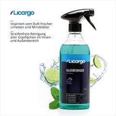 Licargo® Glass Cleaner Car (750 мл) - Для ломтиков без полосы - мощный очиститель окна автомобиля внутри и снаружи - очиститель окон для автомобильных окон, ветровые стекла, очиститель автомобиля. цена и информация | Автохимия | 220.lv