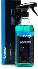 Licargo® Glass Cleaner Car (750 мл) - Для ломтиков без полосы - мощный очиститель окна автомобиля внутри и снаружи - очиститель окон для автомобильных окон, ветровые стекла, очиститель автомобиля. цена и информация | Автохимия | 220.lv