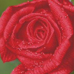 Алмазная мозаика Розовая роса, 30,50 x 30,50 см цена и информация | Алмазная мозаика | 220.lv