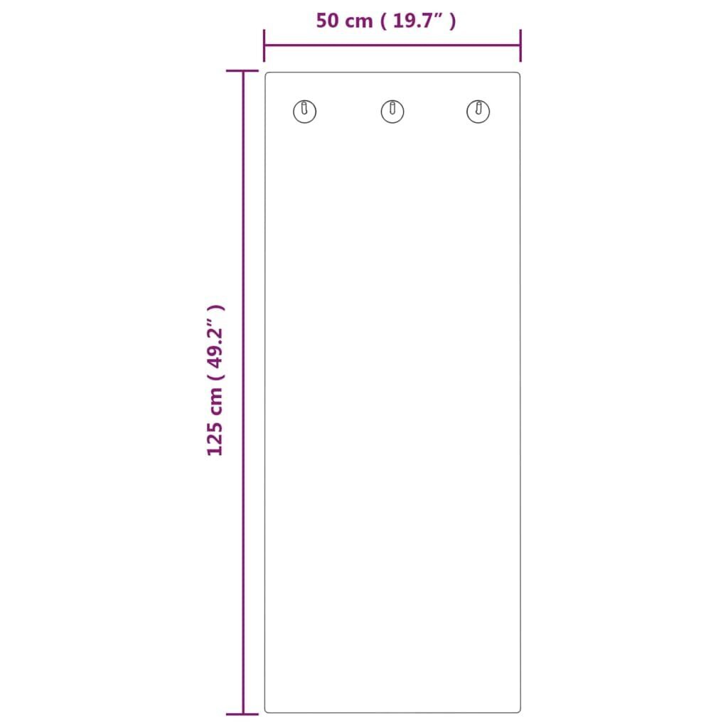 Sienas mēteļu pakaramais, 125x50cm, rūdīts stikls цена и информация | Drēbju pakaramie | 220.lv