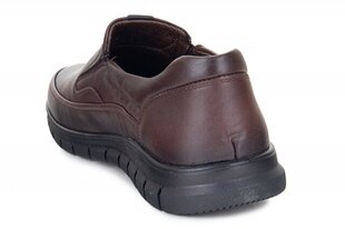 Vīriešu kurpes FERMANI 143641045399 cena un informācija | Vīriešu kurpes, zābaki | 220.lv