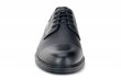 Vīriešu kurpes FERMANI 145037045751 cena un informācija | Vīriešu kurpes, zābaki | 220.lv