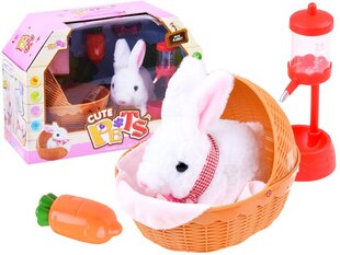 Интерактивный кролик в корзинке и аксессуары ZA3551 цена и информация | Игрушки для малышей | 220.lv