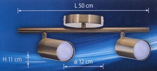 Dubultais griestu gaismeklis Spectra цена и информация | Настенный/подвесной светильник Eye Spot 11 BL, чёрный | 220.lv