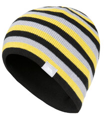 Детская шапка Trespass, UCHSHAM20001. цена и информация | Шапки, перчатки, шарфы для мальчиков | 220.lv