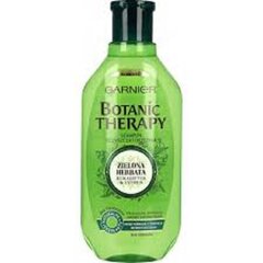 Šampūns matiem Garnier Botanic Therapy 400 ml cena un informācija | Šampūni | 220.lv