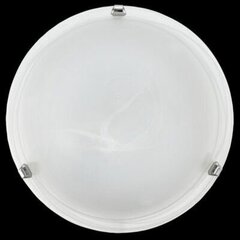 Griestu LED gaismeklis Eglo 7184 cena un informācija | Griestu lampas | 220.lv
