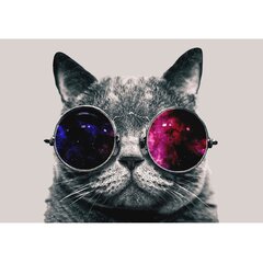 Фототапец - Кот в очках цена и информация | Фотообои | 220.lv