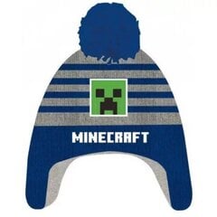Детская шапка Minecraft цена и информация | Шапки, перчатки, шарфы для мальчиков | 220.lv