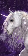 Dvielis Unicorn 70 x 140 cm цена и информация | Полотенца | 220.lv