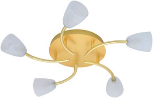 Потолочный светильник G.LUX MICA-5S матовое золото цена и информация | Потолочные светильники | 220.lv