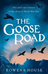 Goose Road cena un informācija | Grāmatas pusaudžiem un jauniešiem | 220.lv