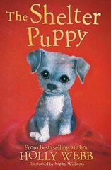 Shelter Puppy цена и информация | Книги для подростков  | 220.lv