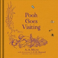 Winnie-the-Pooh: Pooh Goes Visiting цена и информация | Книги для подростков и молодежи | 220.lv