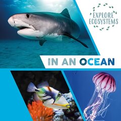 Explore Ecosystems: In an Ocean Illustrated edition цена и информация | Книги для подростков и молодежи | 220.lv