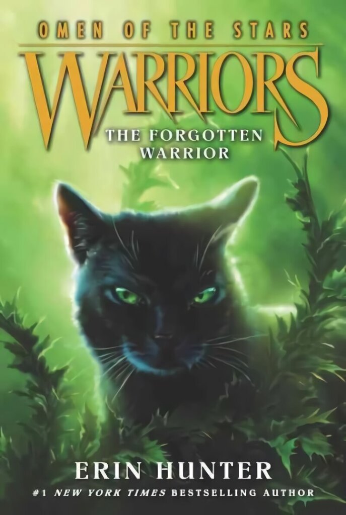 Warriors: Omen of the Stars #5: The Forgotten Warrior цена и информация | Grāmatas pusaudžiem un jauniešiem | 220.lv