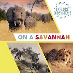 Explore Ecosystems: On a Savannah Illustrated edition цена и информация | Книги для подростков и молодежи | 220.lv