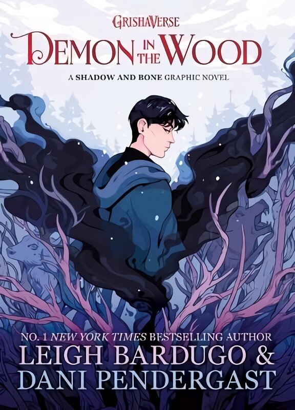 Demon in the Wood: A Shadow and Bone Graphic Novel цена и информация | Grāmatas pusaudžiem un jauniešiem | 220.lv