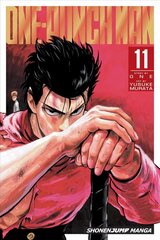 One-Punch Man, Vol. 11, Vol. 11 cena un informācija | Fantāzija, fantastikas grāmatas | 220.lv