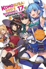 Konosuba: God's Blessing on This Wonderful World!, Vol. 17 (light novel) цена и информация | Фантастика, фэнтези | 220.lv