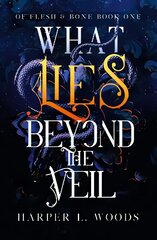 What Lies Beyond the Veil цена и информация | Фантастика, фэнтези | 220.lv