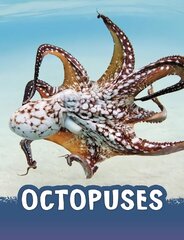 Octopuses цена и информация | Книги для подростков и молодежи | 220.lv