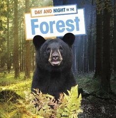 Day and Night in the Forest cena un informācija | Grāmatas pusaudžiem un jauniešiem | 220.lv