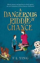 Dangerous Riddle of Chance cena un informācija | Grāmatas pusaudžiem un jauniešiem | 220.lv