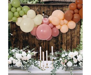 Гирлянда из воздушных шаров, шары цвета бохо цена и информация | Шары | 220.lv