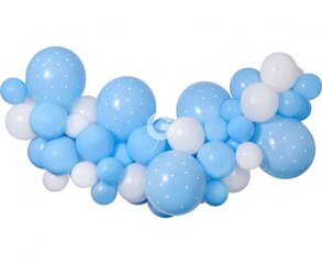 Гирлянда из воздушных шаров, голубые/белые шары цена и информация | Шары | 220.lv