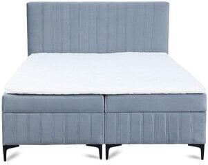 Kontinentālā gulta Quant, 200x200 cm, zils цена и информация | Кровати | 220.lv
