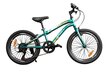 Bērnu velosipēds, Roy Blade 20cll cena un informācija | Velosipēdi | 220.lv