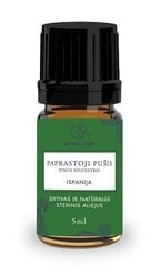 Parastās priedes ēteriskā eļļa, 5 ml цена и информация | Эфирные, косметические масла, гидролаты | 220.lv