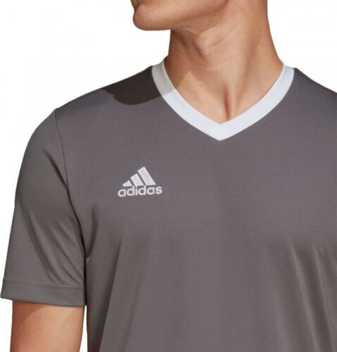 Adidas T-krekls Entrada 22 Jersey M HE1574 HE1574 cena un informācija | Sporta apģērbs vīriešiem | 220.lv
