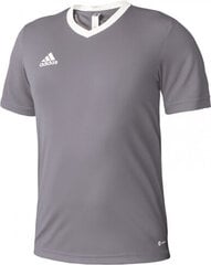 Adidas Футболки M Frl Ult Ht T Grey цена и информация | Мужская спортивная одежда | 220.lv