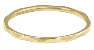 Минималистское позолоченное кольцо с нежным золотым дизайном Troli  цена и информация | Кольца | 220.lv