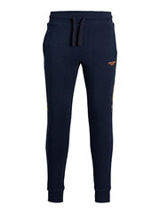 Мужские спортивные штаны JJIWILL 12190310 Navy Blaze r цена и информация | Мужская спортивная одежда | 220.lv