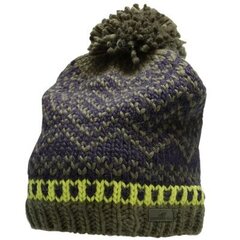 Зимняя шапка 4F 1 M H4Z22 CAM011 91S, зеленая цена и информация | Мужские шарфы, шапки, перчатки | 220.lv
