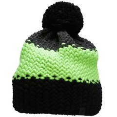 Зимняя шляпа 4F M H4Z22 CAM012 41S, зелено-черная цена и информация | Мужские шарфы, шапки, перчатки | 220.lv