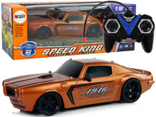 Спортивный автомобиль RC Champion, 1:18, коричневый цена и информация | Конструктор автомобилей игрушки для мальчиков | 220.lv